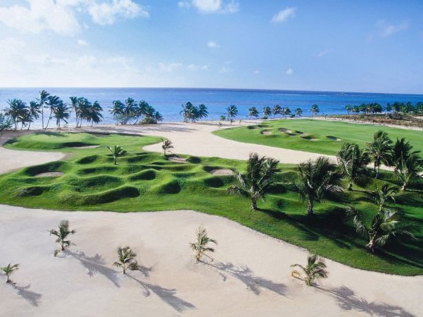 Cap Cana, 5 Bedrooms Bedrooms, ,Villa,Alquiler Vacacional,Cap Cana,1110