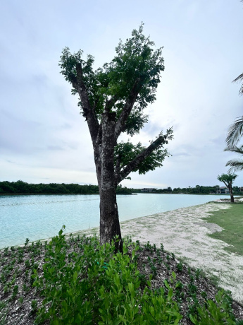 PUNTA CANA, 4 Habitaciones Habitaciones, 0 ,0,Villa,En Venta,0,1184