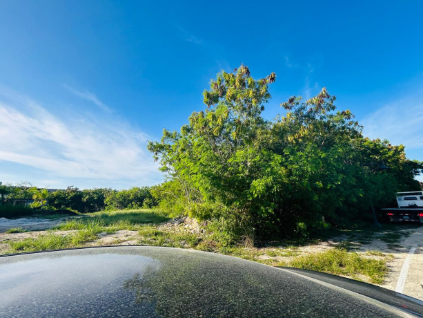PUNTA CANA, 0 , 0 ,Terreno,En Venta,0,1189