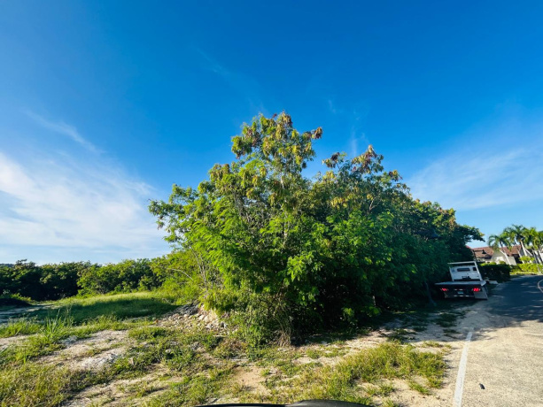 PUNTA CANA, 0 , 0 ,Terreno,En Venta,0,1189