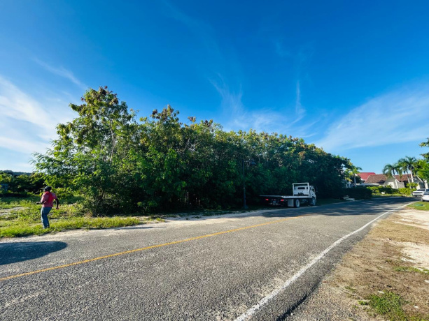 PUNTA CANA, 0 , 0 ,Terreno,En Venta,0,1189