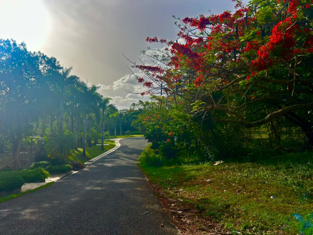 Casa de Campo, 0 , 0 ,Terreno,En Venta,0,1302