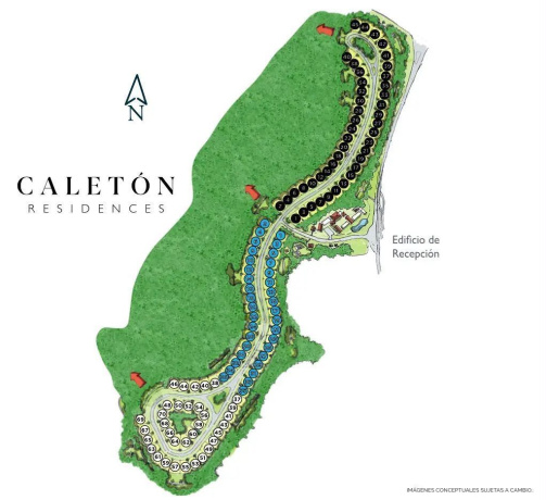 Cap Cana, 0 , 0 ,Terreno,En Venta,0,1304